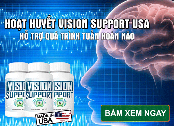 vision-support-usa-1